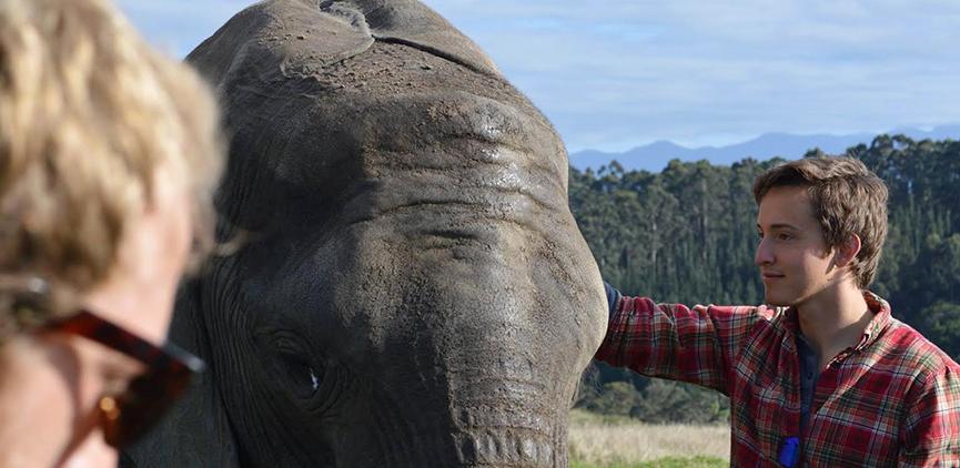 科林·希金斯 in South African, elephant